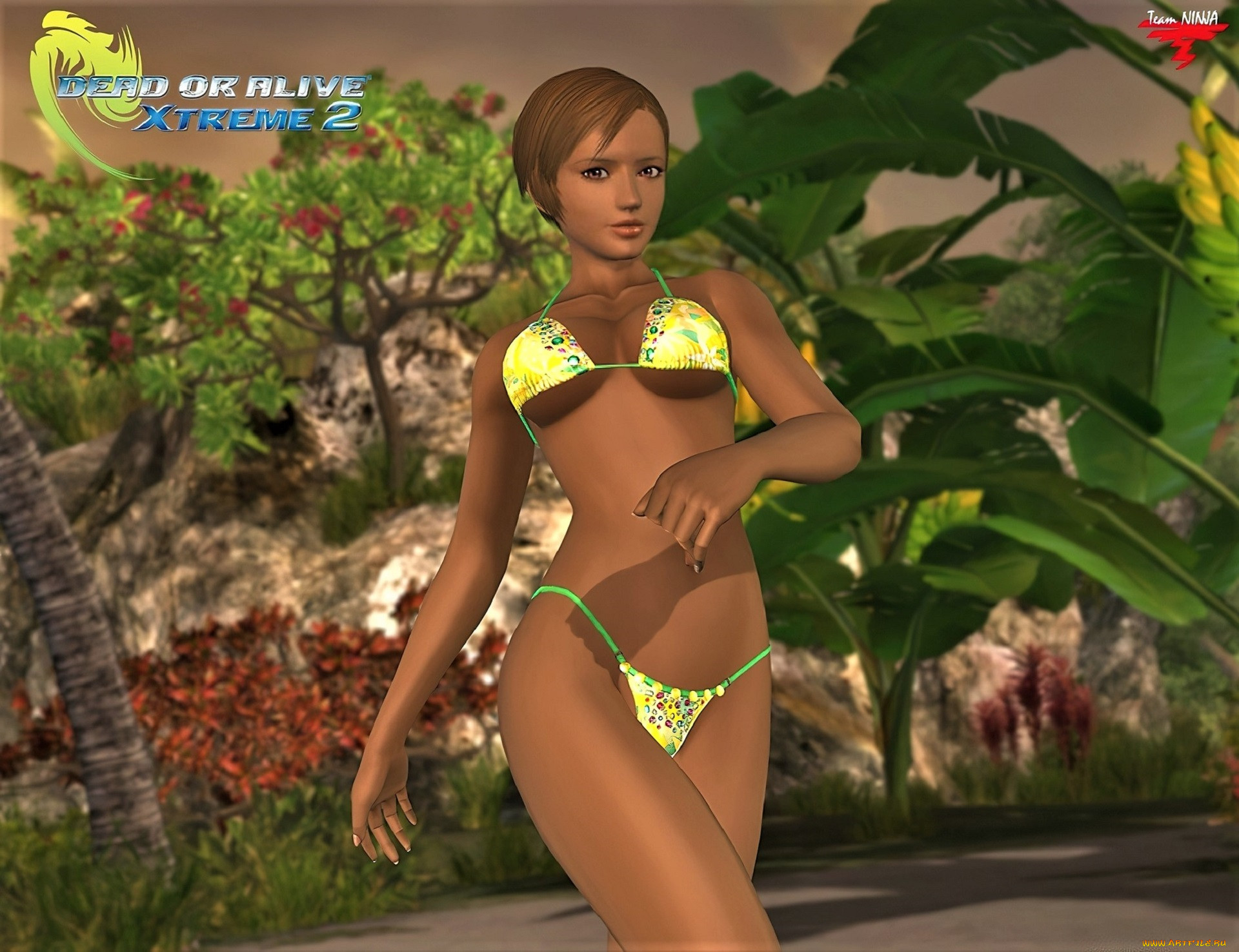  , dead or alive,  xtreme 2, , , 